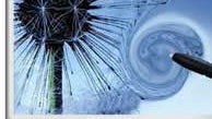 Samsung Galaxy Note II rumored to have flexible OLED screen