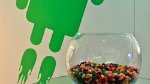 WSJ says Google is to unveil Android Jelly Bean with Siri competitor at the I/O conference