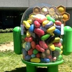 Android Jelly Bean is coming: cast your wish for new features here
