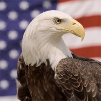 5 ways to get patriotic with your mobile device on July 4th