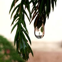 Cool images, taken with your cell phone #44