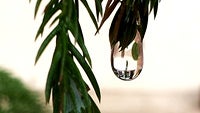 Cool images, taken with your cell phone #44