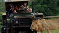 Google Maps adds walking directions in 44 African countries, savannas not included