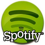 Spotify adds custom radio feature to its Android app