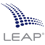 Leap Wireless reports lower than expected Q2 earnings, stock falls 10%