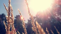 Cool images, taken with your cell phone #49