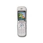 Motorola V810 to make its debut with U.S. Cellular in September
