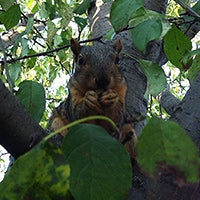Cool images, taken with your cell phone #51