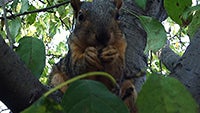 Cool images, taken with your cell phone #51