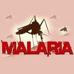 Fighting malaria in Cambodia with Google Earth and SMS