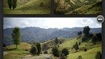 Tumblr releases Photoset app for iOS