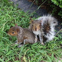 Cool images, taken with your cell phone #53