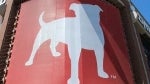 Zynga cuts 150 of its staff, closes its Boston office, and drops some games