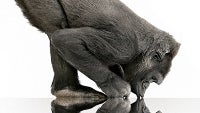 Corning Gorilla Glass is now on more than a billion devices