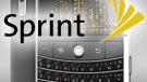 Will the CDMA version of BlackBerry Bold hit Sprint shelves soon?