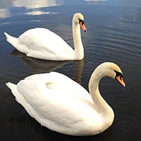 Cool images, taken with your cell phone #56