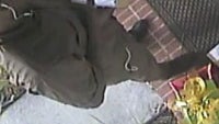 UPS delivery guy steals FedEx iPad delivery, but it all gets caught on camera