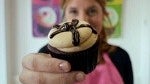 Windows Phone gets a little TLC and helps make cupcakes