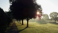 Cool images, taken with your cell phone #58