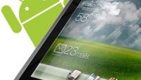 Global IT spending will grow in 2013, but devices spending growth pushed down by cheap Android tablets