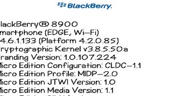 BlackBerry Curve 8900 already gets leaked OS upgrade