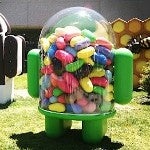 Jolly Rogers subscribers with Samsung Galaxy S II LTE, happy over Android 4.1.2 update