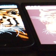 Do you care about the viewing angles of your phone's display?