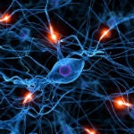 Google purchases neural network startup to make Skynet smarter
