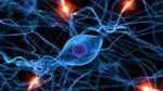 Google purchases neural network startup to make Skynet smarter