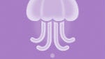Twitter co-founder Biz Stone teases new social good app called Jelly