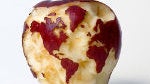 Analyst says Apple's global market share could drop below 10% in Q3 without a new iPhone