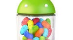 Jelly Bean almost catches Gingerbread in newest Android platform numbers
