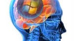 Microsoft's brain makes Bing voice search results more accurate and twice as fast on WP8