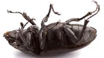 Verizon's Samsung Galaxy S III gets OTA update to kill bugs left by previous one