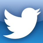 Twitter's Windows Phone app gets Bing Translator as part of update