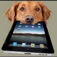 Can you teach your old dog new tricks on an Apple iPad?