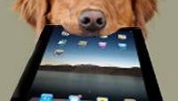 Can you teach your old dog new tricks on an Apple iPad?