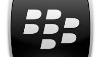Canadian investment house analyst sees BlackBerry looking a lot different in the future