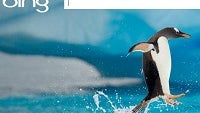 Microsoft touts “Bing for Schools” with Surface RT giveaways