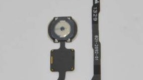 iPhone 5S home button leaks in perfect clarity: Apple to include a fingerprint sensor