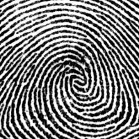 Former biometric executive says Apple iPhone 5S fingerprint scanner is real