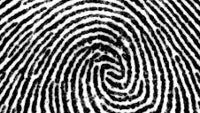 Former biometric executive says Apple iPhone 5S fingerprint scanner is real