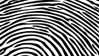Fingerprint scanner could show up on Android phones within 6 months says alliance
