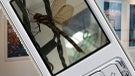 Nokia launches the world’s first exhibition of pictures taken with a phone