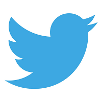 Latest version of Twitter temporarily dropped from BlackBerry World