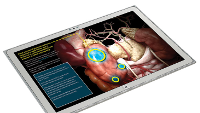 Panasonic's Toughpad 4K, the world's first tablet with a 3840x2560 resolution, delayed until mid-February
