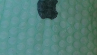 Crooks near San Francisco are ripping off Apple iPad buyers using floor tiles