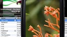 Pre to support iTunes syncing