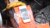 Man uses a rifle to kill his Apple iPhone 4s to protest removal of bitcoin wallet from the App Store