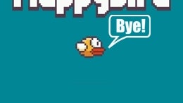 Creator Of Runaway Mobile Hit Flappy Bird Taking Game Down : All